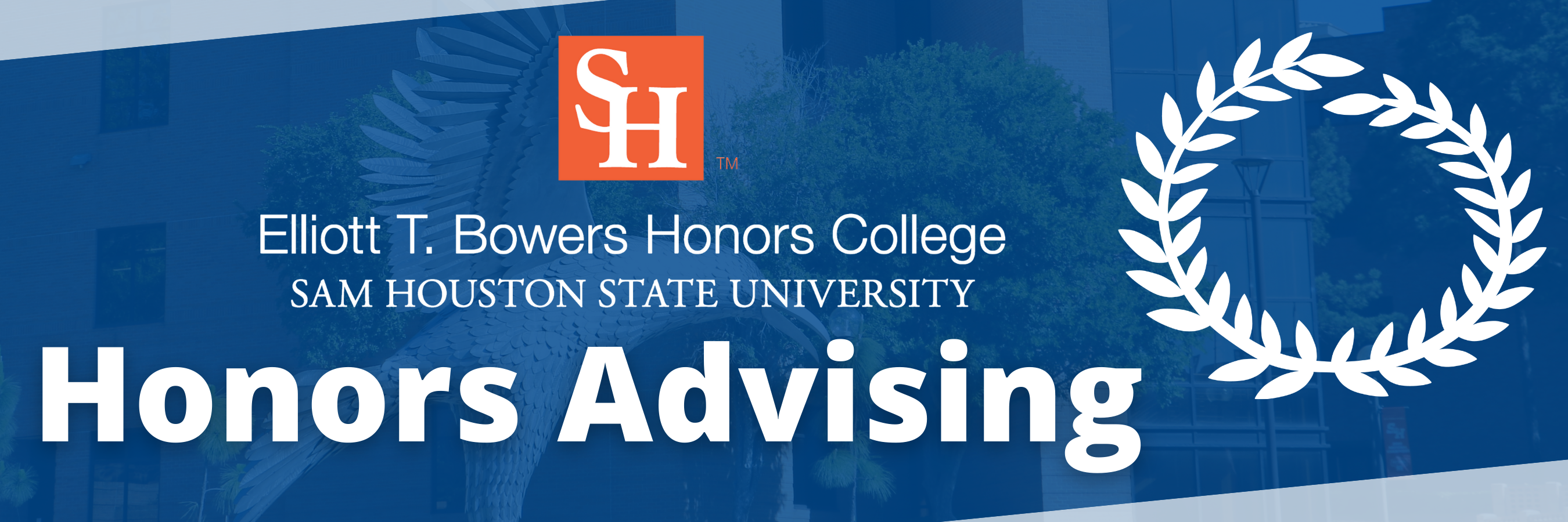 Advising Information Banner